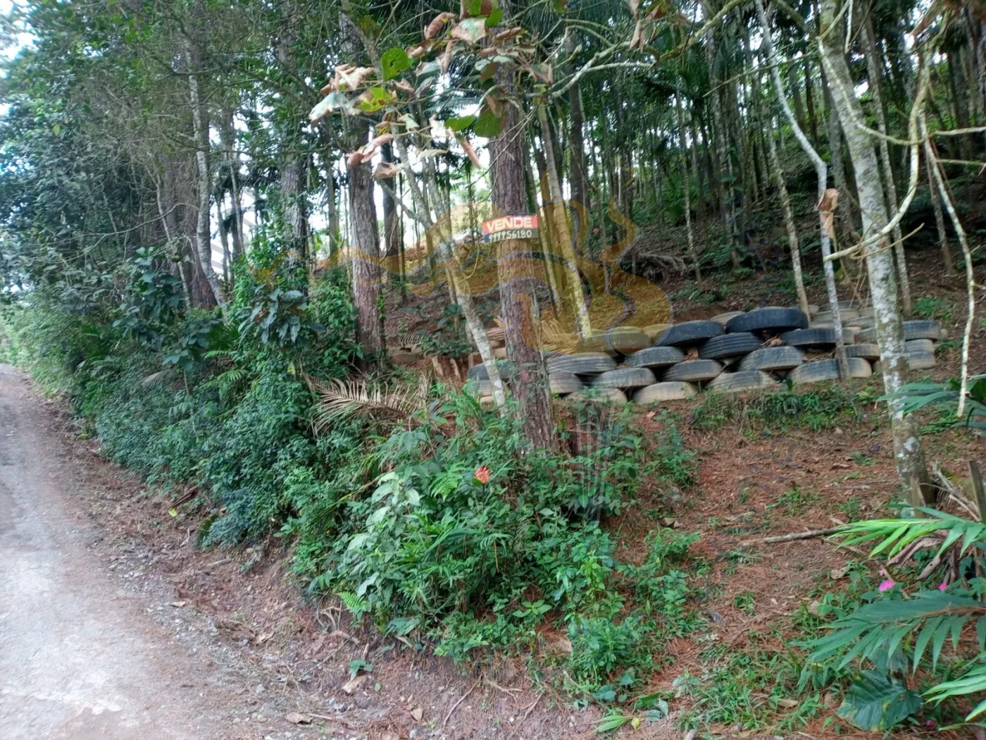 Comprar Rurais / Chácara em Ribeirão Pires R$ 110.000,00 - Foto 1
