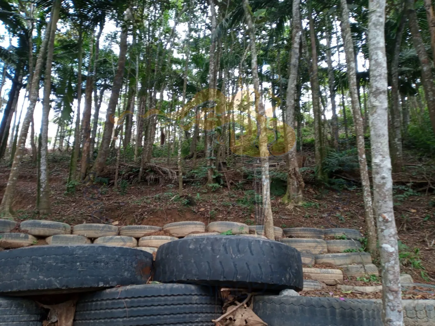 Comprar Rurais / Chácara em Ribeirão Pires R$ 110.000,00 - Foto 2