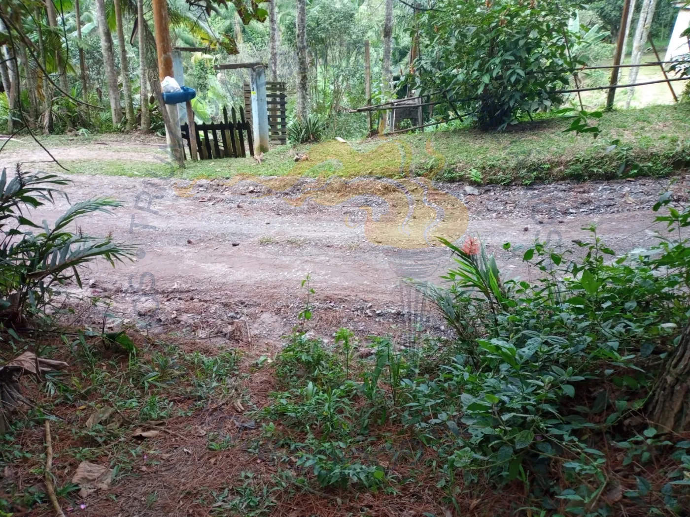 Comprar Rurais / Chácara em Ribeirão Pires R$ 110.000,00 - Foto 4