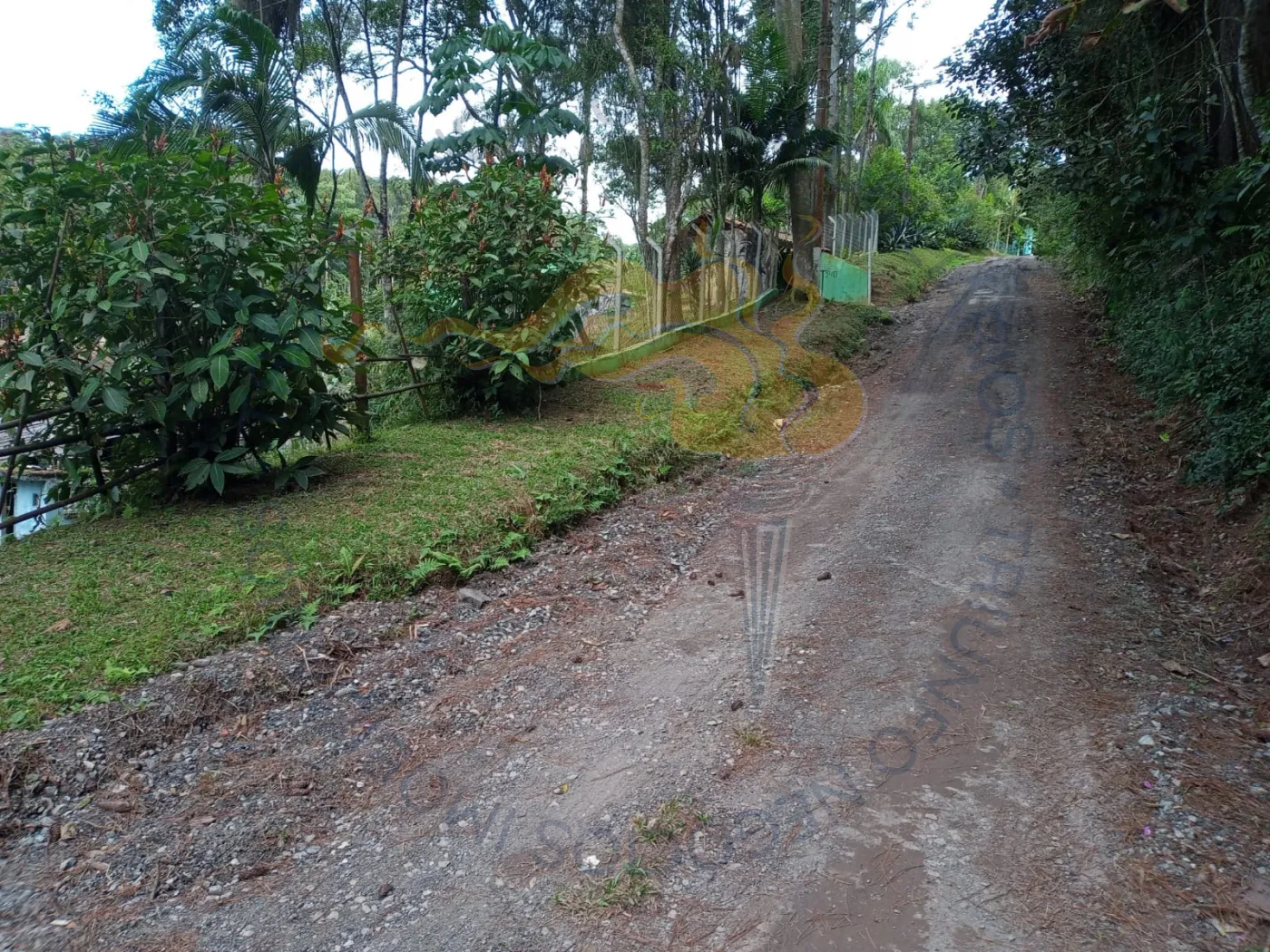 Comprar Rurais / Chácara em Ribeirão Pires R$ 110.000,00 - Foto 5