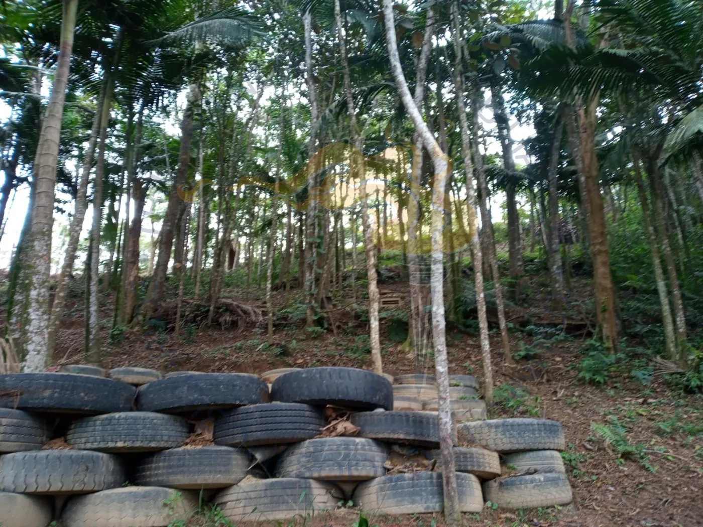 Comprar Rurais / Chácara em Ribeirão Pires R$ 110.000,00 - Foto 6