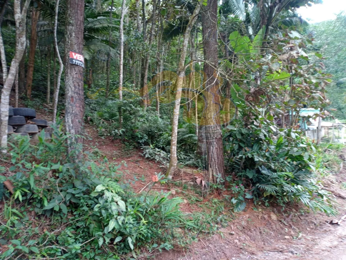 Comprar Rurais / Chácara em Ribeirão Pires R$ 110.000,00 - Foto 7