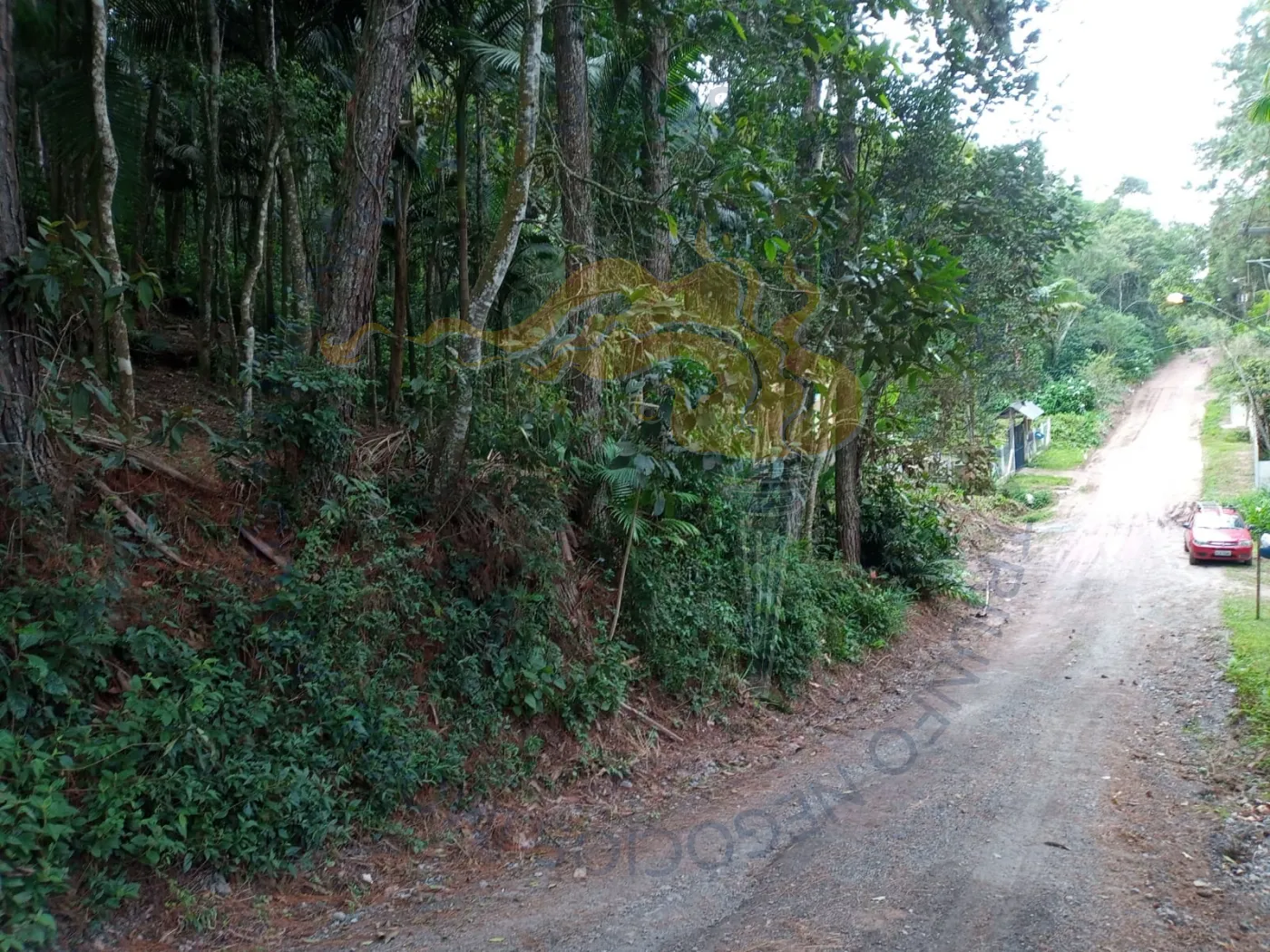 Comprar Rurais / Chácara em Ribeirão Pires R$ 110.000,00 - Foto 8
