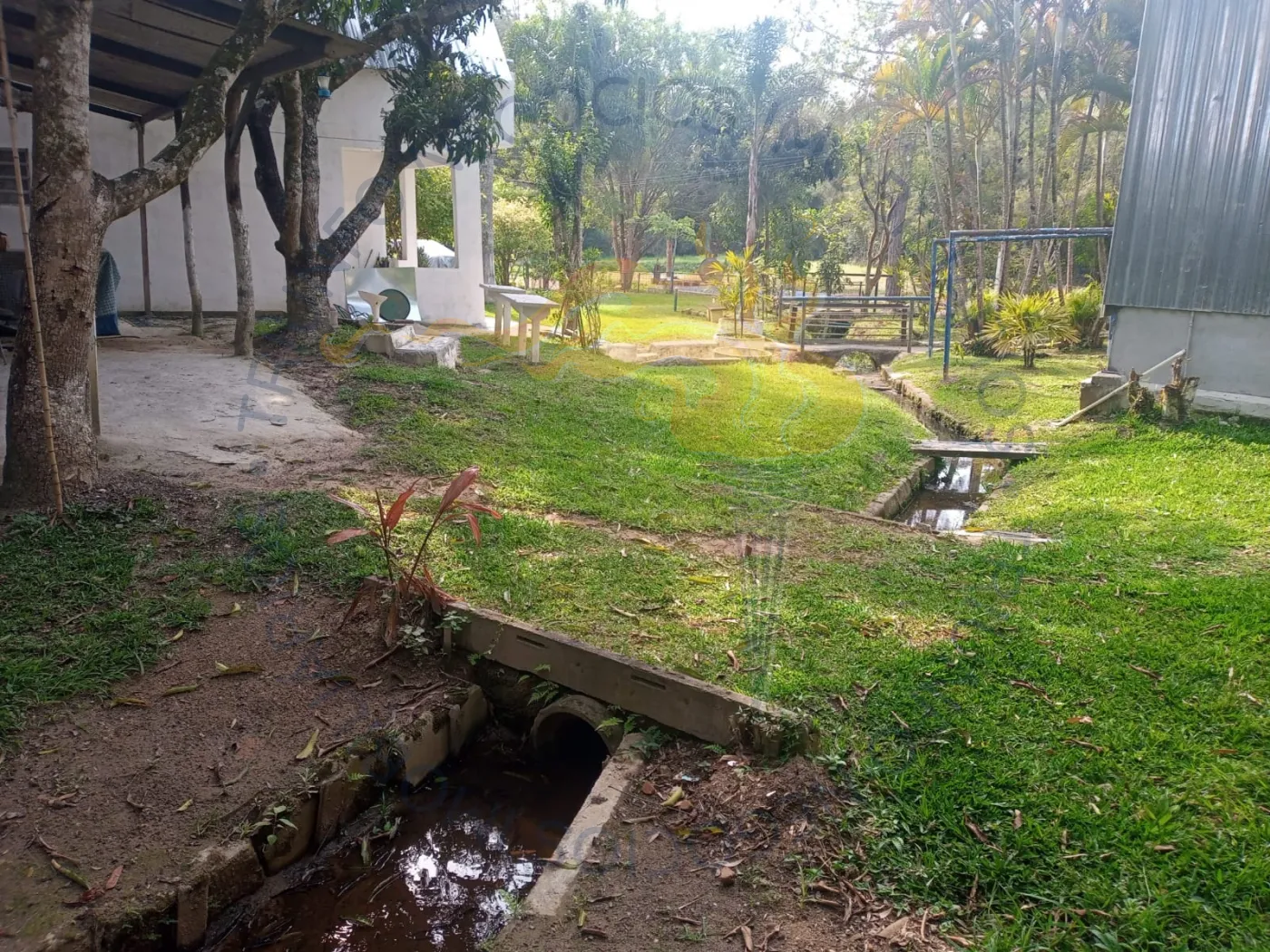 Comprar Rurais / Chácara em Suzano R$ 1.000.000,00 - Foto 9