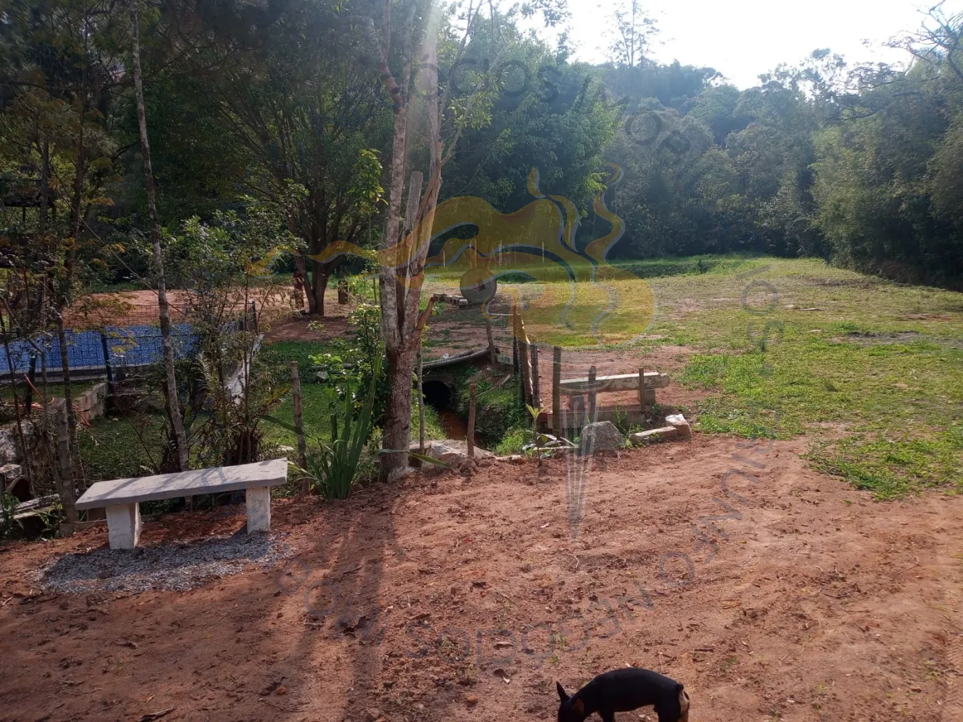 Comprar Rurais / Chácara em Suzano R$ 1.000.000,00 - Foto 13