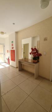 imagem 2 - Apartamento Villagio Santorini imagem 2 - Apartamento Villagio Santorini