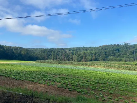 imagem 4 - Área próximo ao Rodoanel Mario Covas imagem 4 - Área próximo ao Rodoanel Mario Covas