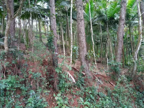 imagem 3 - Chácara à Venda - 1.144m² com Duas Frentes! Oportunidade Única! imagem 3 - Chácara à Venda - 1.144m² com Duas Frentes! Oportunidade Única!